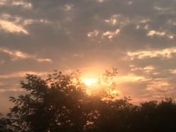 -尚美皮肤管理·美甲美睫高订