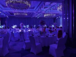 -曼格纳婚礼艺术中心(张江店)