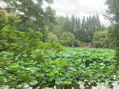 -郑和公园