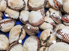 血蚶-高佳庄·舟山海鲜(海景旗舰店)