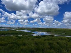 -花湖生态旅游区