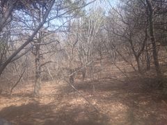 -沈阳辉山风景区