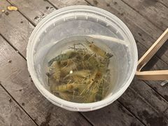 -DGE季风钓虾营地·团建·聚会