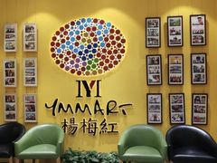 -杨梅红艺术教育(北京金源购物中心校区)