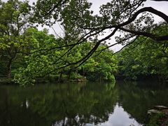 -阿哈湖国家湿地公园