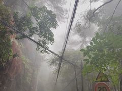 -缙云山景区