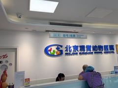 -北京观赏动物医院·24小时大型综合·猫专科·异宠专科