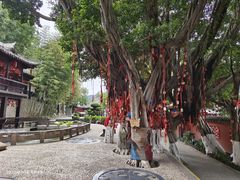 -白帝城·瞿塘峡景区