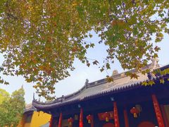 -灵谷景区