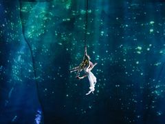 -重庆国际马戏城