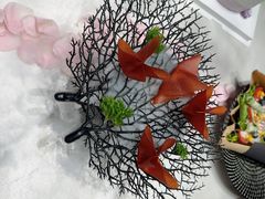 -迦南苑·新派青岛菜·生日纪念日主题餐厅