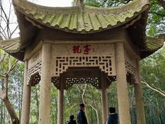 -上海佘山国家森林公园西佘山园