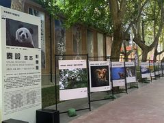 -西安电影制片厂