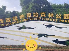 -西双版纳原始森林公园