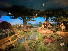 -国家自然博物馆