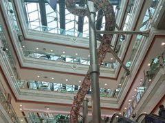 -巴黎春天(浦建店)