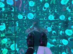 -苏州5D星空错觉艺术馆