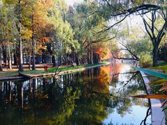 -上海共青森林公园