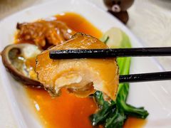 鲍鱼-有腥气私房菜·寻味顺德