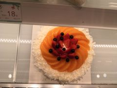 -蒲公英(五里店)
