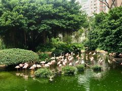 -九龙公园