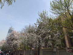 -民园广场