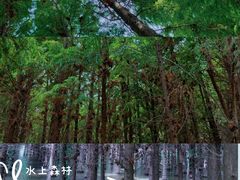 -捞渔河湿地公园