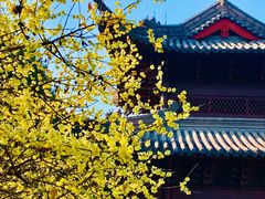 -钱王祠