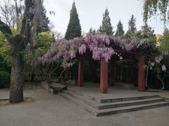 -迎泽公园
