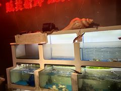 -质烤烤物·活烤海鲜(质烤总店)