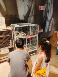 -酷嗒动物文化乐园(cutezoo西溪乐天城店)