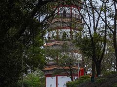 -分塔山省级森林公园