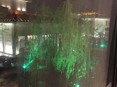 -水中仙东雅国际酒店(丹阳店)