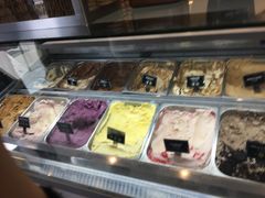 -Patagonia Chocolates(皇后镇店)