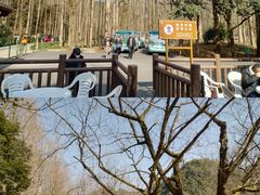 -五泄景区