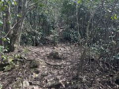 -午潮山国家森林公园