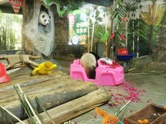 -海南热带野生动植物园