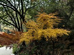 -虞山风景区