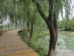 -西安浐灞国家湿地公园