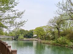 -西溪国家湿地公园