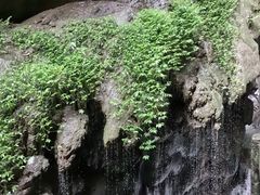 -龙水峡地缝景区