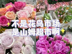 -山姆会员商店(上海浦东店)
