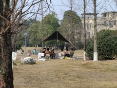 -两河城市森林公园