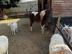 -HERRE·FARM 赫尔露营农场·团建聚会包场