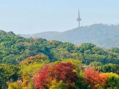 -岳麓山风景名胜区