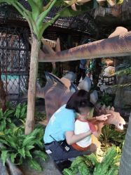 -恐龙探索乐园(磁器口店)