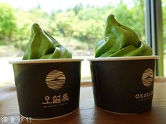 -雪绿茶博物馆