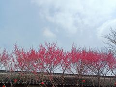 -嬉乐湾休闲旅游区