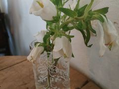 -春风十里咖啡馆