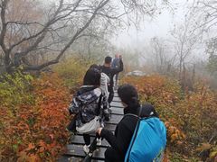 -白草畔自然风景区